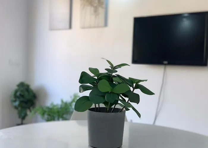 Fantastic Apartment. Cristianos. Free Wifi. 洛斯克里斯蒂亚诺斯